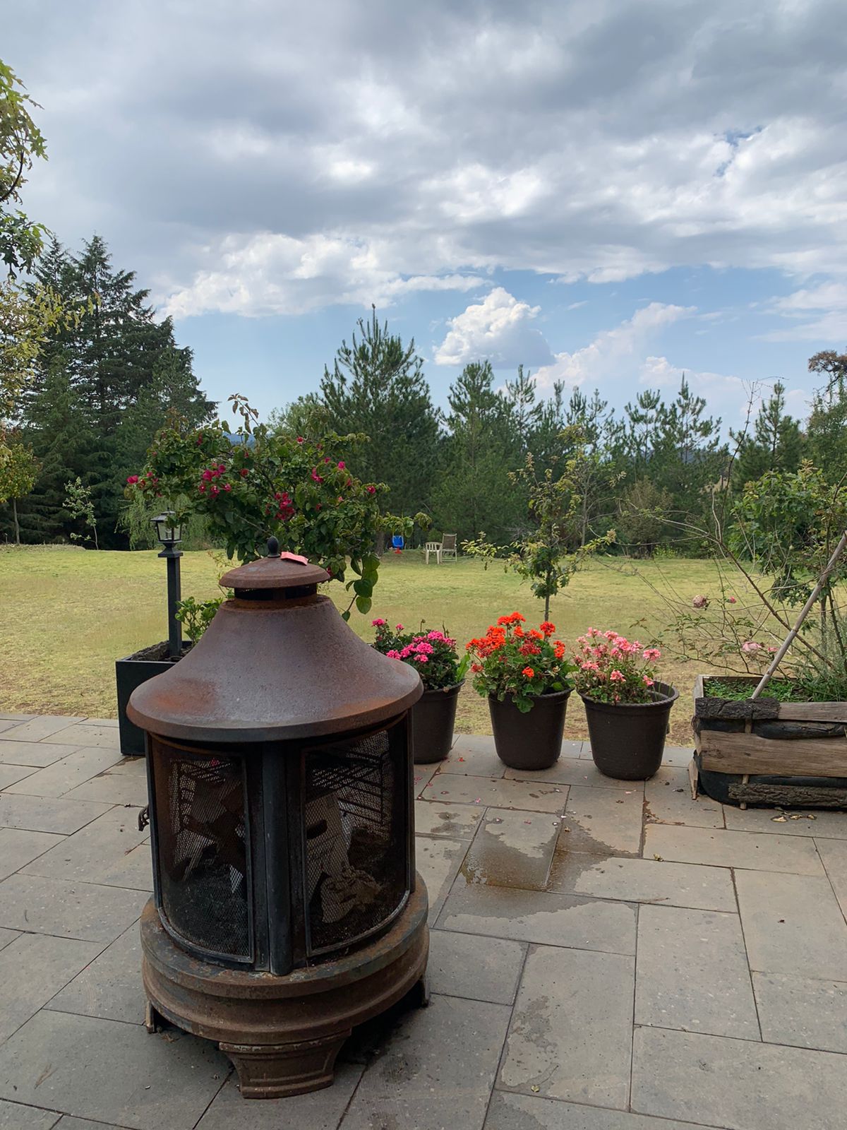 Convivencia en el campamento Ludicamp